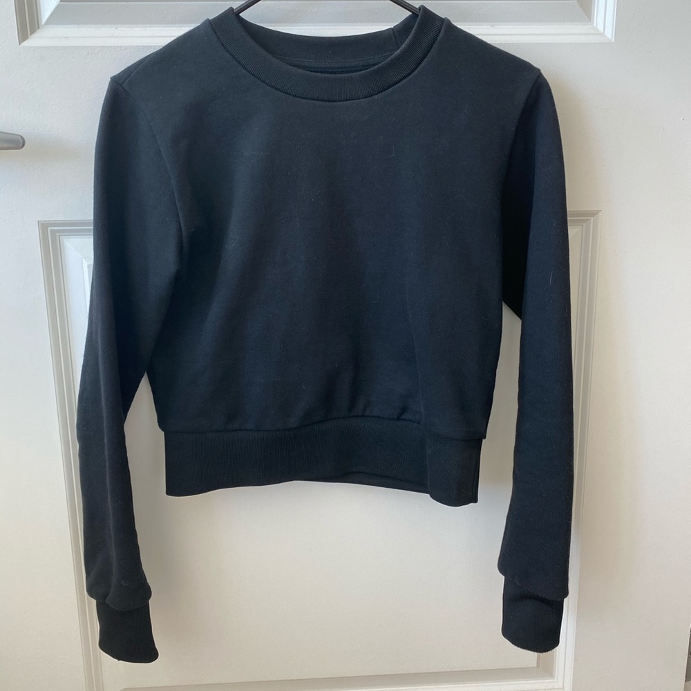Aritzia Talula Shrunken Crew